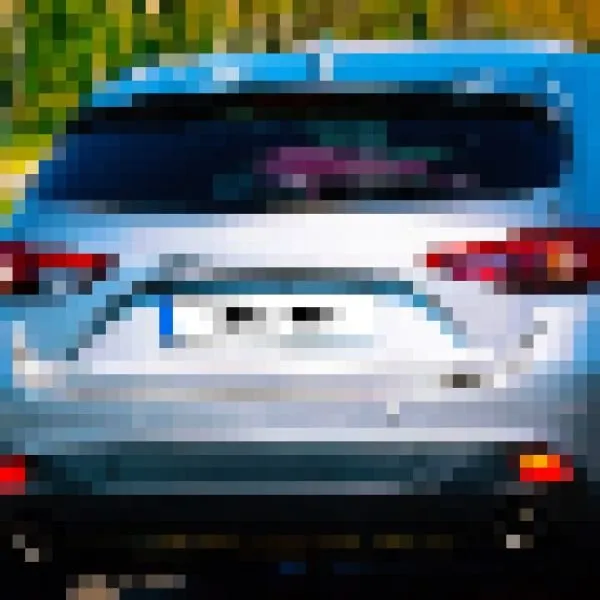 1 Megapixel